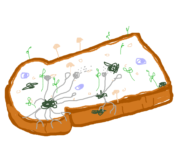 Frame 2