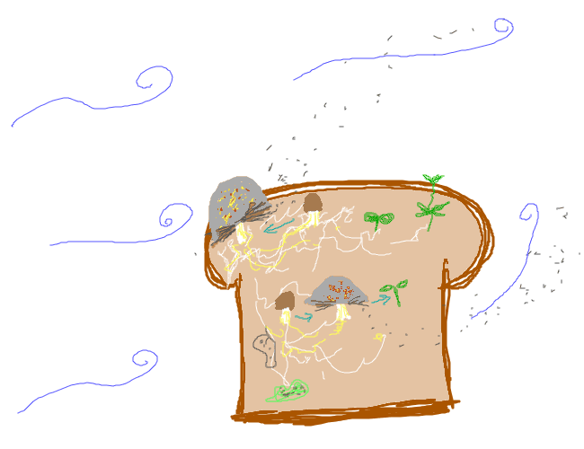 Frame 4