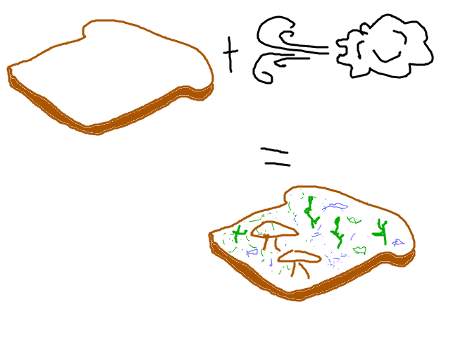 Frame 6