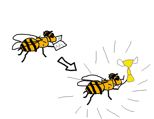 Frame 6