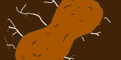 wagnapershre